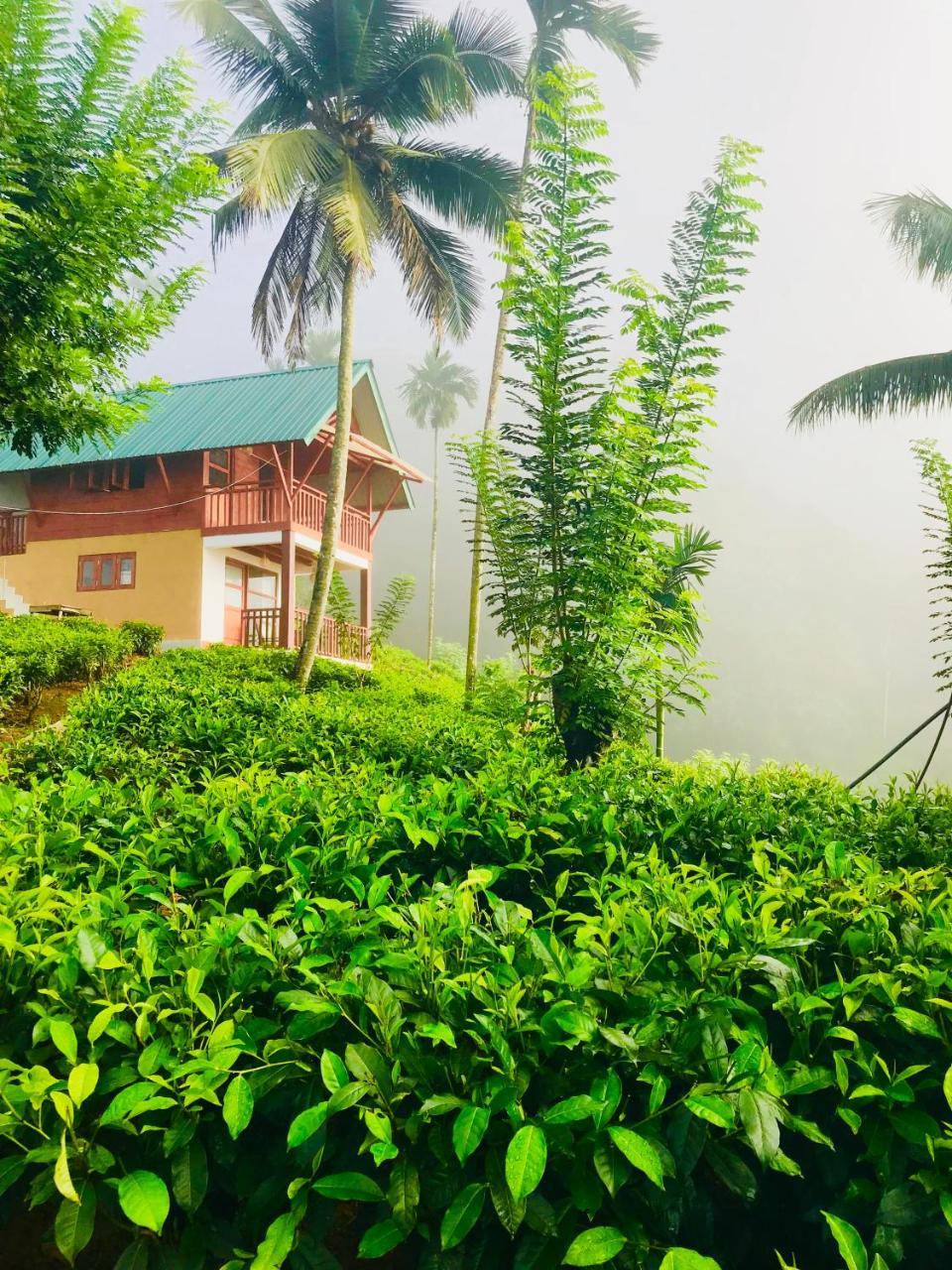 Rainforest Mount Lodge Deniyaya Exterior foto